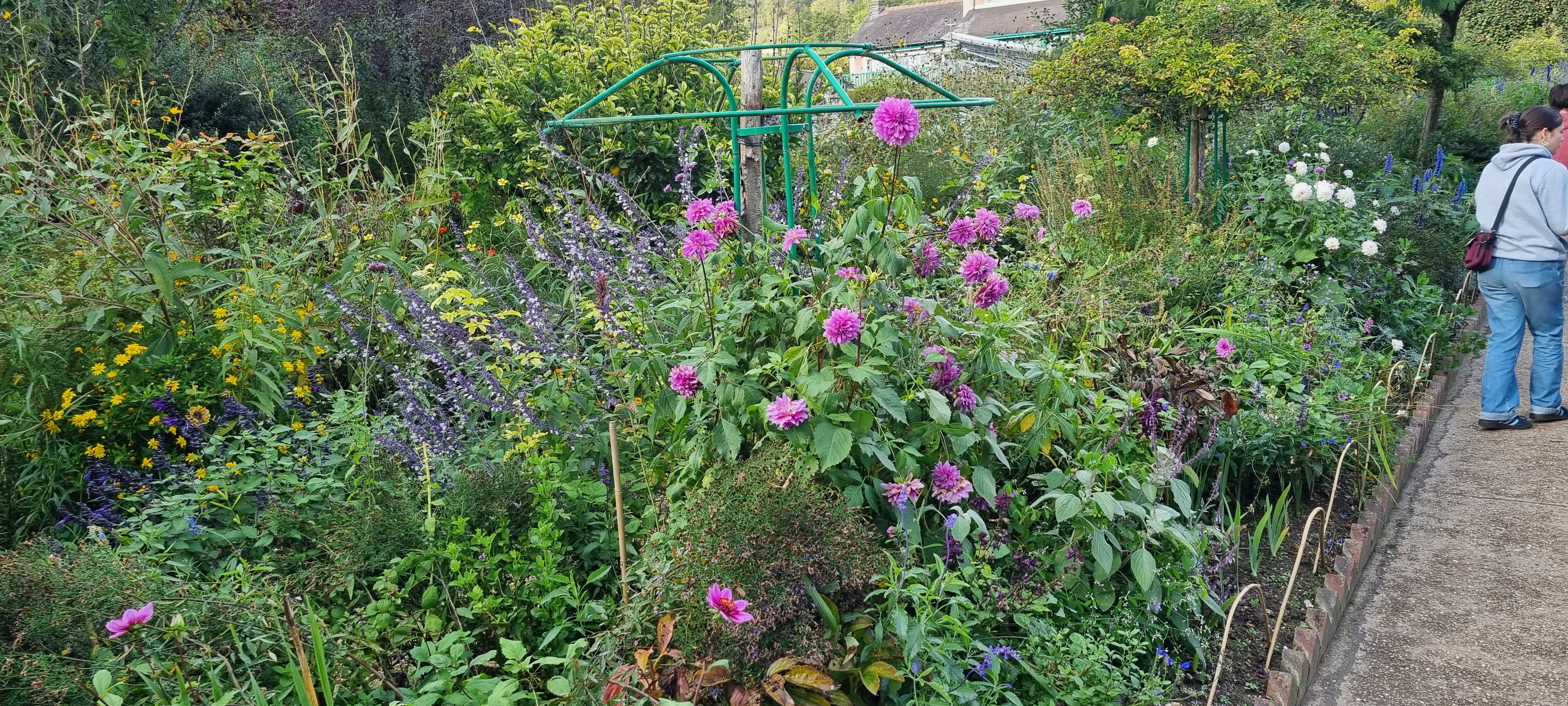 Photo n° 31 de l'avis de lemagicien40. fait le 03/11/2023 à 07:28