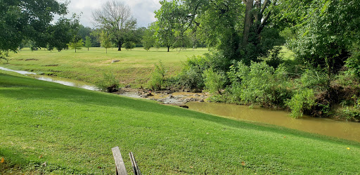 Tourist Attraction «The Chairy Orchard», reviews and photos, 1426 Churchill Dr, Denton, TX 76209, USA