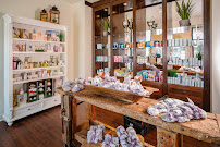 Woodhouse Spa - Metairie - Photo 3 - Car repair in Metairie, LA, Metairie