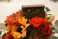 Planned by KD - Photo 3 - Car repair in , Roseville