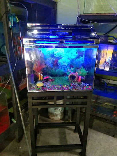 Nabil Aquarium