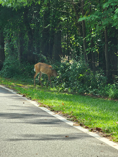 Nature Preserve «Autrey Mill Nature Preserve & Heritage Center», reviews and photos, 9770 Autrey Mill Rd, Johns Creek, GA 30022, USA