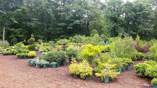 Garden Center «Town & Country Nurseries», reviews and photos, 1036 Saybrook Rd, Haddam, CT 06438, USA