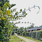 Photo n°6 de l'avis de Richard.h fait le 22/08/2023 à 14:06 sur le  Grand Hotel Masseria Saint Lucia à Ostuni Marina, Ostuni