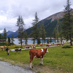 Photo n°14 de l'avis de Ionela.u fait le 01/09/2022 à 15:23 sur le  Nevesalm/malga Neves à Mühlwald