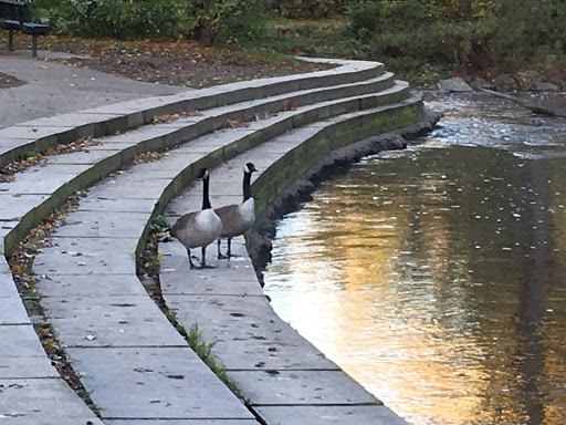 Park «Water Works Park», reviews and photos, 2025 Munroe Falls Ave, Cuyahoga Falls, OH 44221, USA