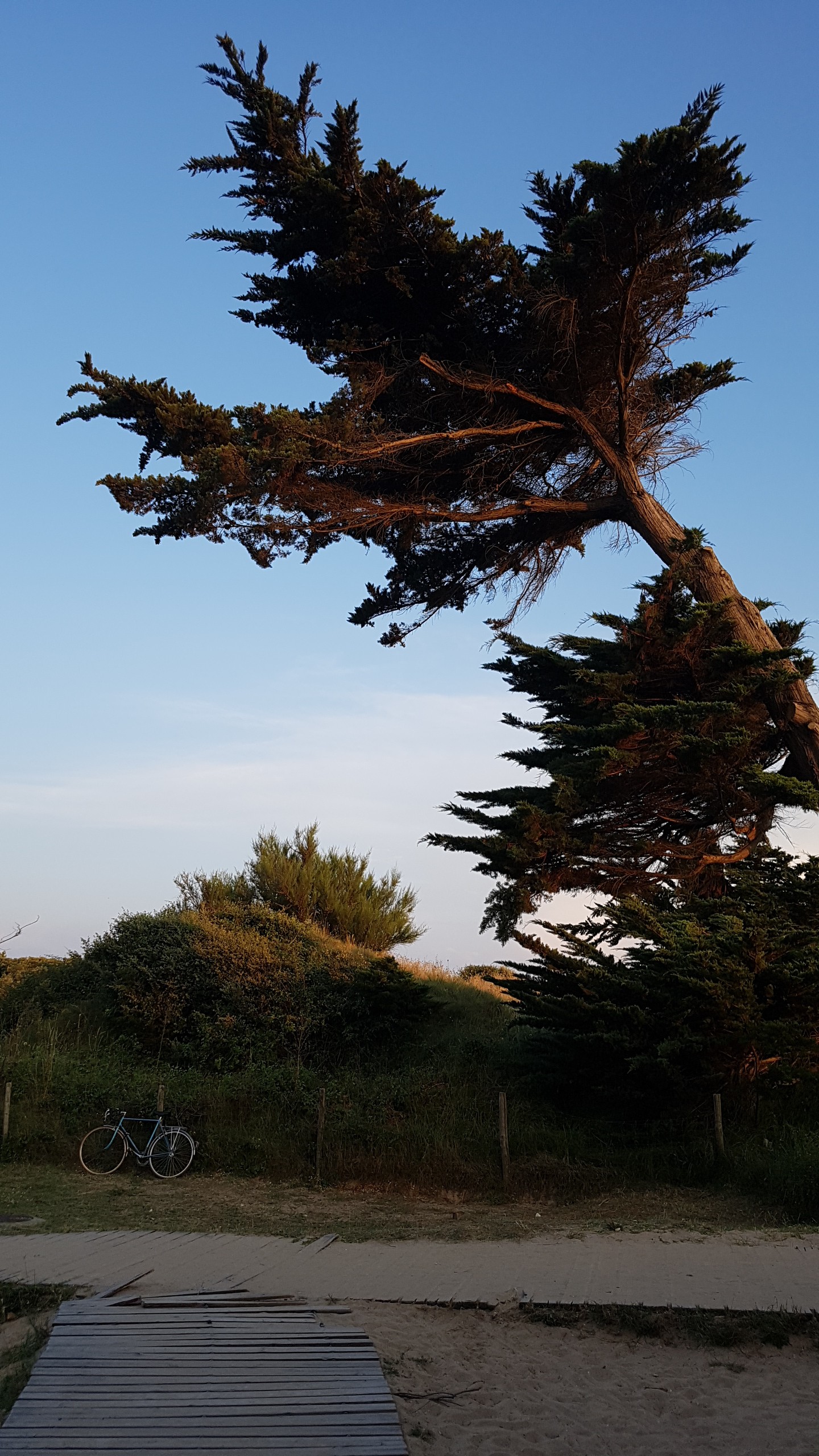 Photo n° 3 de l'avis de Jessi.e fait le 31/07/2018 à 22:16