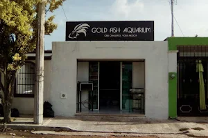 Gold Fish Aquarium image