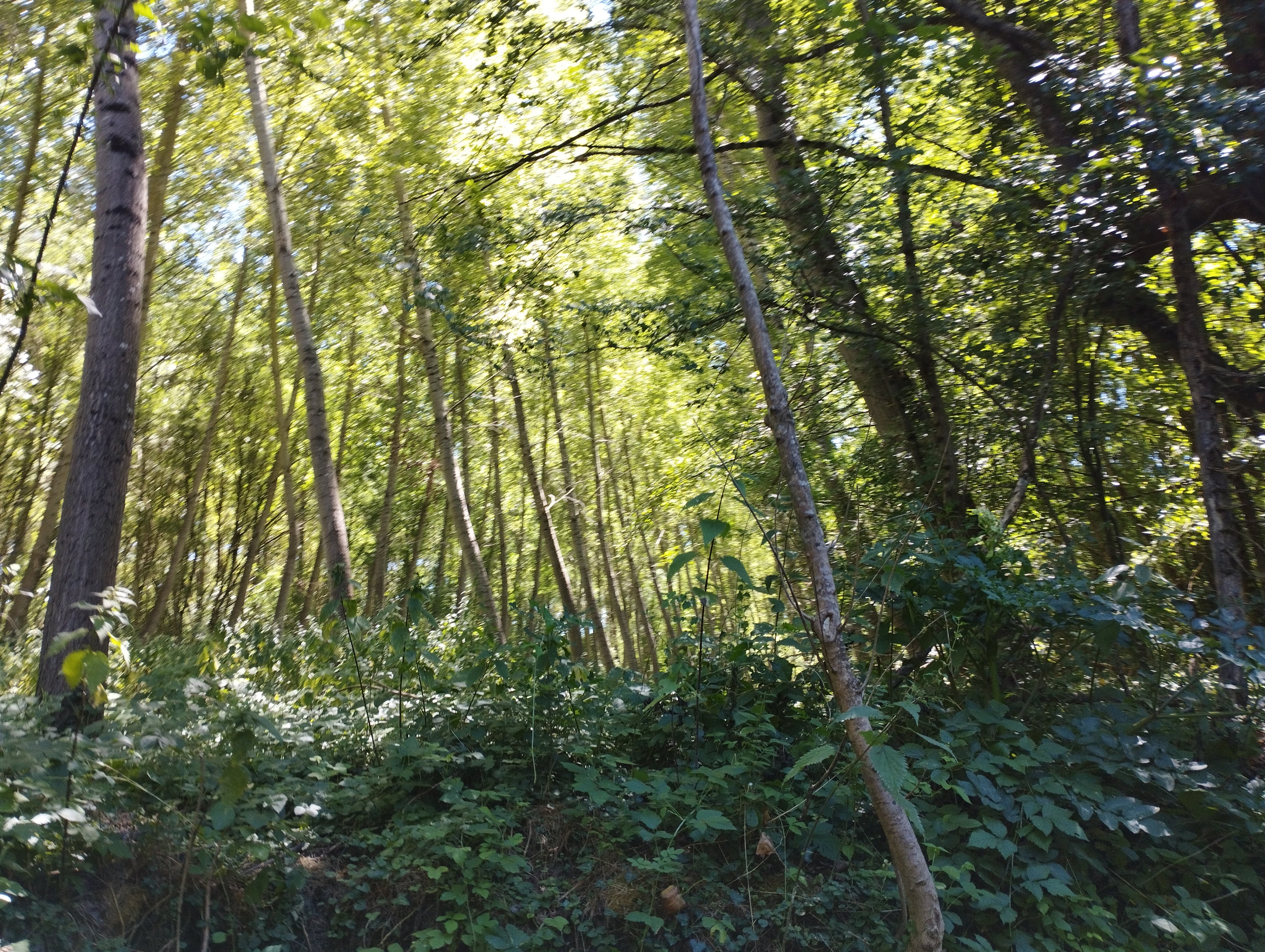 Photo n° 13 de l'avis de Les.a fait le 28/07/2022 à 10:34