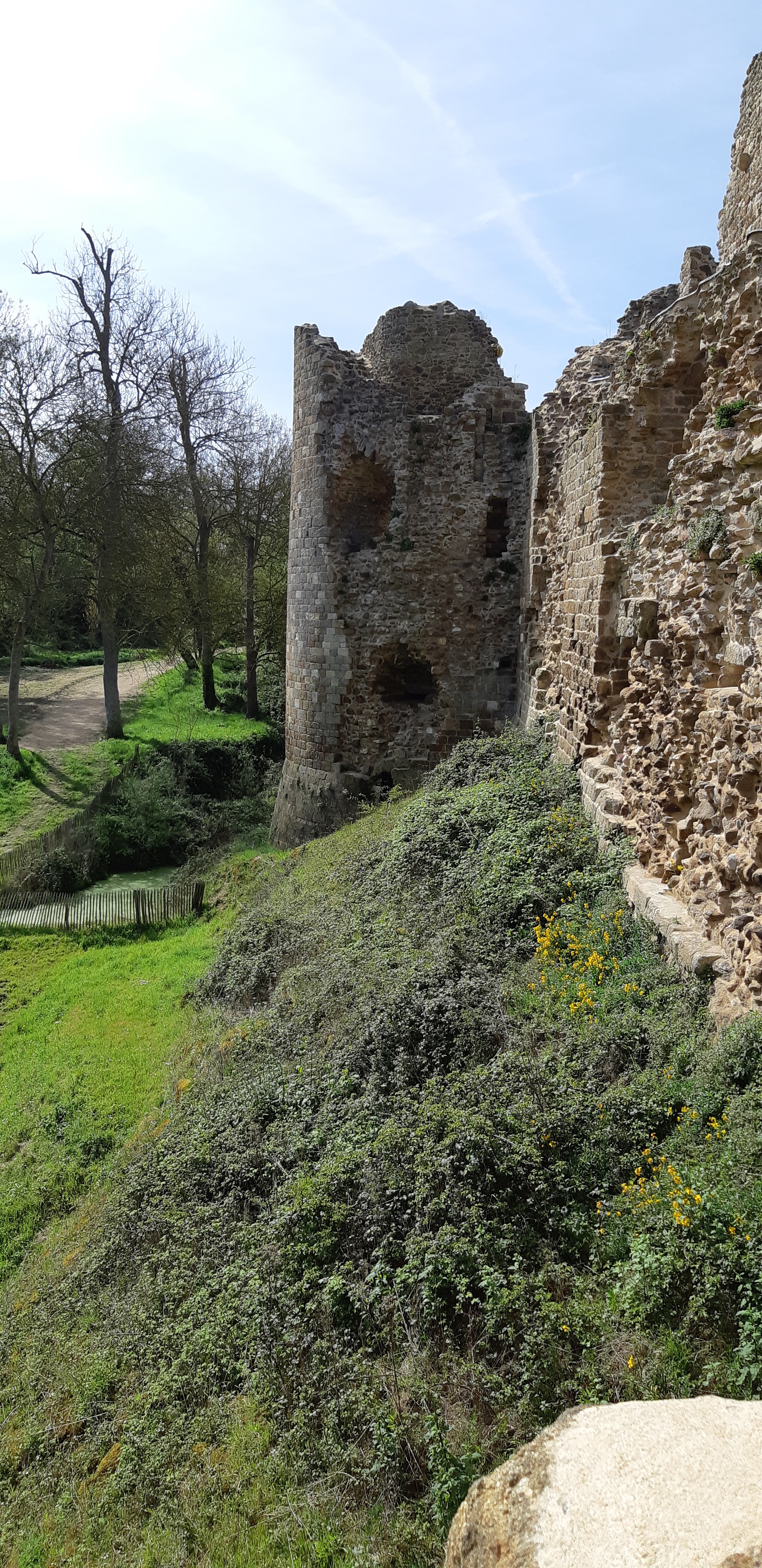 Photo n° 28 de l'avis de Arnaud.u fait le 17/04/2022 à 19:23
