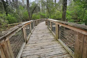 BREC's Bluebonnet Swamp Nature Center image