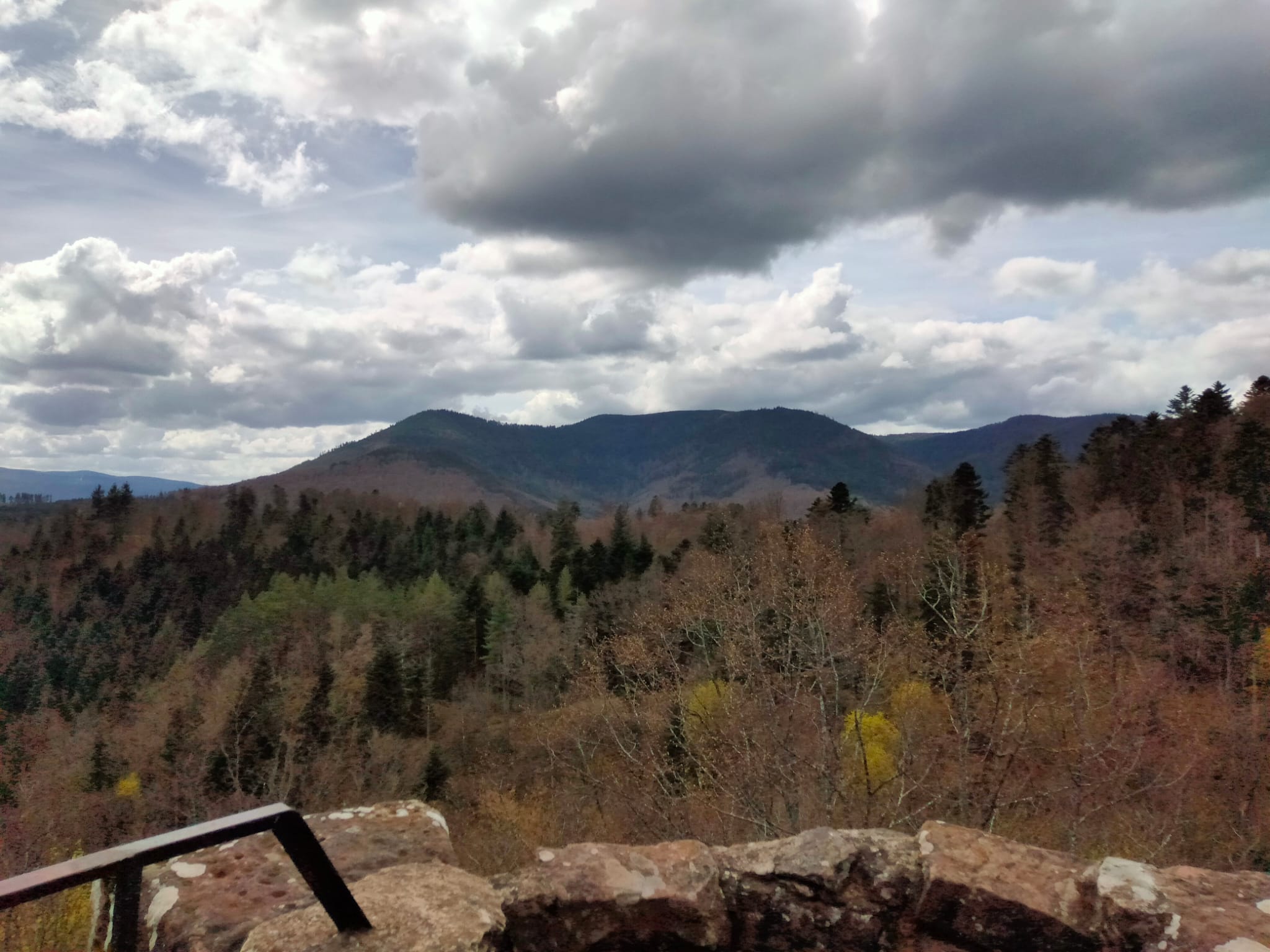 Photo n° 4 de l'avis de Bernard.o fait le 11/08/2023 à 16:52