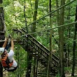 Bear Mountain Ziplines