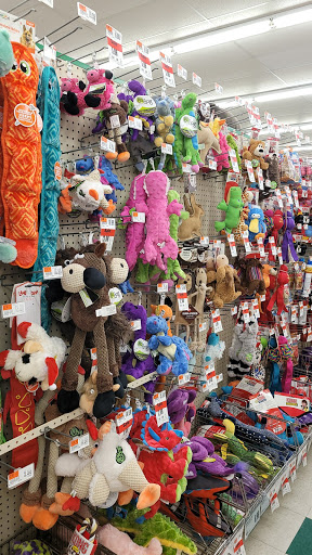 Pet Supply Store «Pet Supplies Plus», reviews and photos, 1748 N Harlem Ave, Elmwood Park, IL 60707, USA