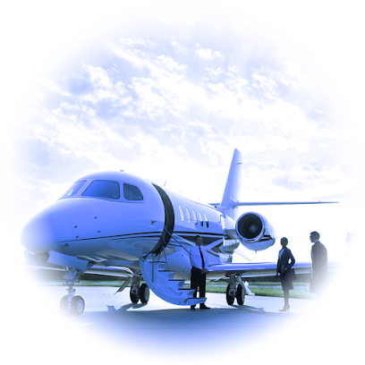 Travel Agency & Professional Aviation Services