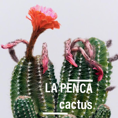 La Penca Cactus