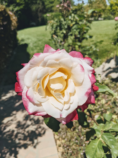 Bowling Alley «Chaparral 300 - We may close 1 hour early Sun-Thurs depending on volume, please call for details.», reviews and photos, 4191 Chino Hills Pkwy, Chino Hills, CA 91709, USA