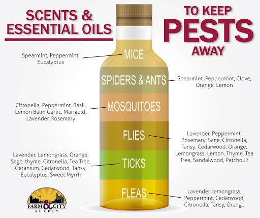 Animal Feed Store «Farm and City Supply», reviews and photos, 1825 E Army Post Rd, Des Moines, IA 50320, USA