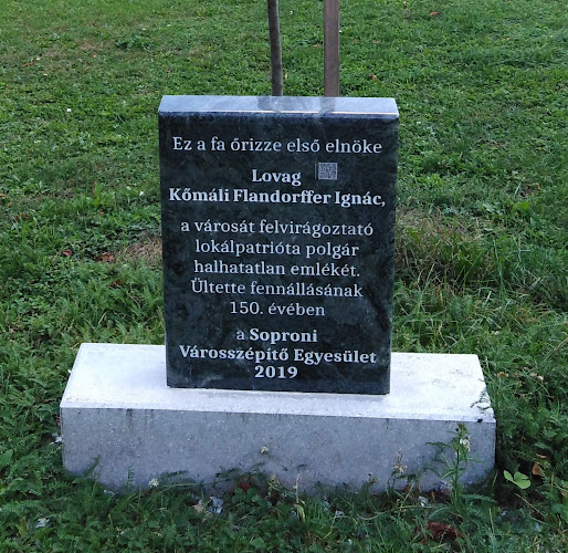 Értékelések erről a helyről: Flandorffer Ignác emlékére ültetetf fa és emlékkő, Sopron - Múzeum