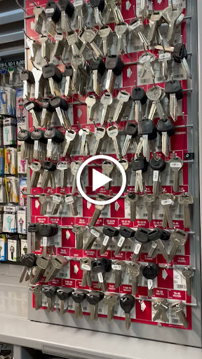 Hardware Store «Bay To Bay Hardware & Pool Supplies», reviews and photos, 4215 W Bay to Bay Blvd, Tampa, FL 33629, USA