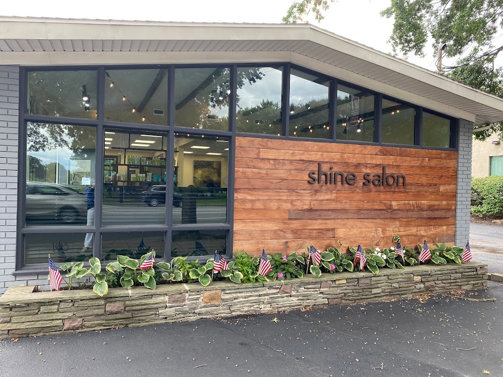 Shine Salon 18704