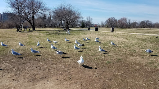 Park «Long Bridge Park», reviews and photos, 475 Long Bridge Drive, Arlington, VA 22202, USA