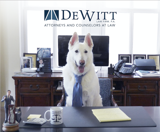 Family Law Attorney «Dewitt Law Firm, P.A.», reviews and photos