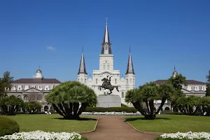 New Orleans Native Tours llc image
