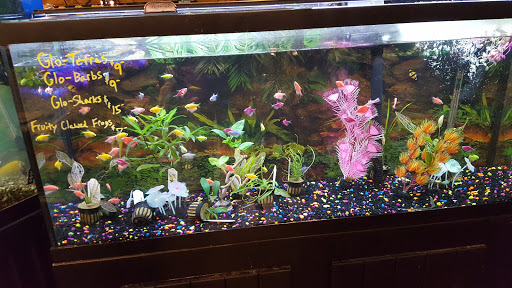 Pet Store «Pet Kingdom», reviews and photos, 4650 S Cleveland Ave, Fort Myers, FL 33907, USA