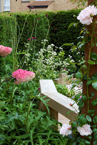 Lempsink Garden Design - Edinburgh