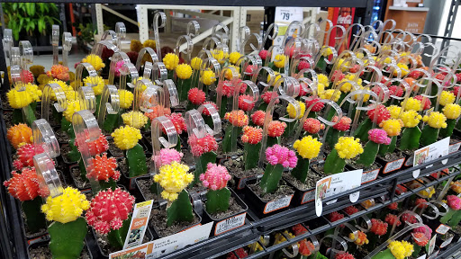 Home Improvement Store «The Home Depot», reviews and photos, 300 Clarks Pond Pkwy, South Portland, ME 04106, USA