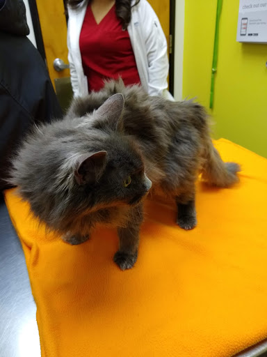 Pet Supply Store «PetSmart», reviews and photos, 1220 N Eagle Rd, Meridian, ID 83642, USA