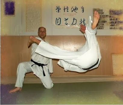 Dansk Judo Organisation