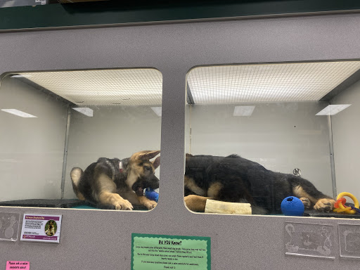 Pet Store «Friendly Pets», reviews and photos, 625 Friendly Center Rd, Greensboro, NC 27408, USA