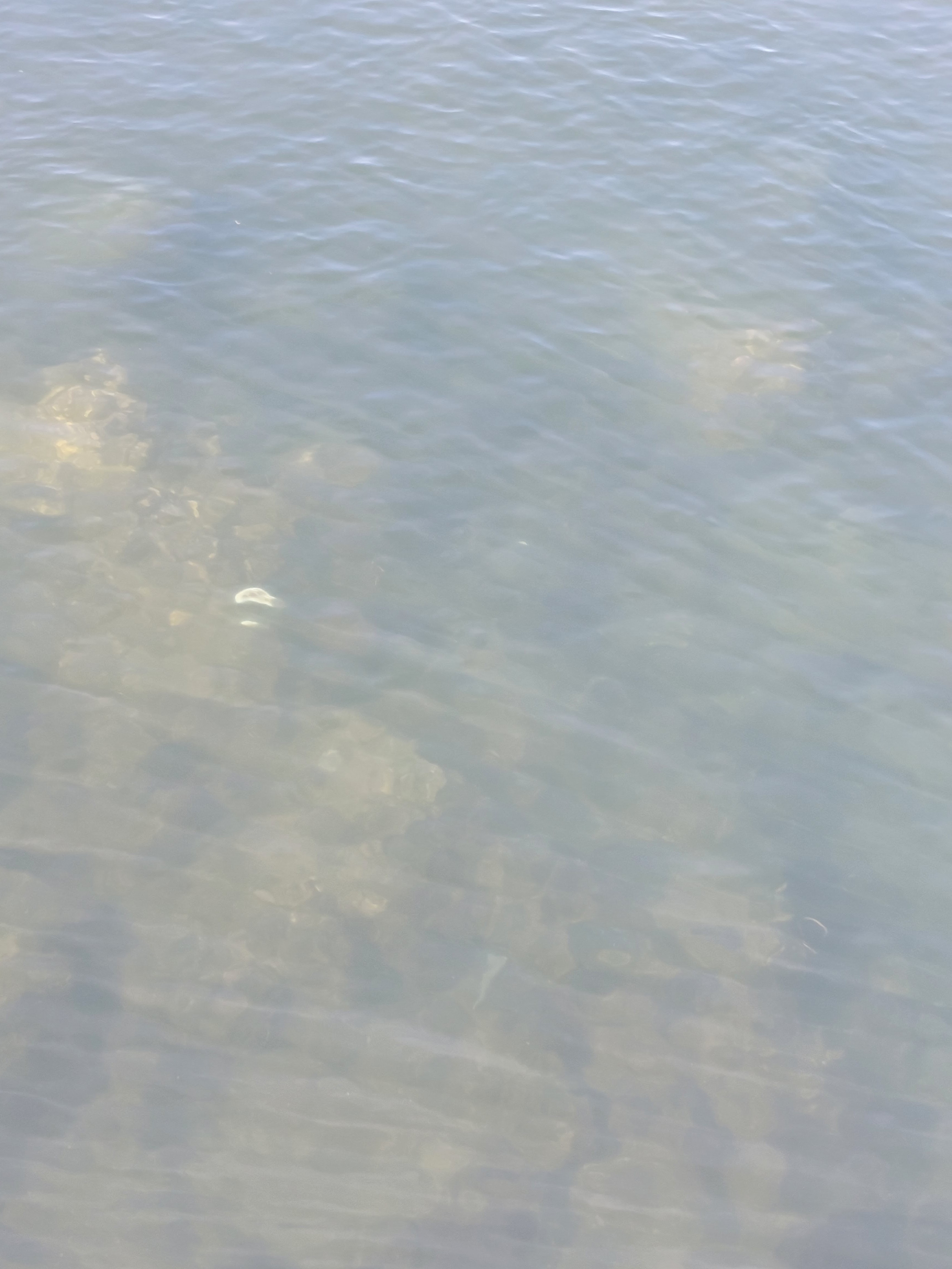 Photo n° 3 de l'avis de Sabine.U fait le 23/09/2022 à 07:19