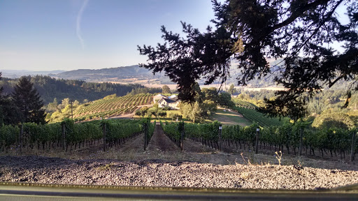 Winery «David Hill Vineyards & Winery», reviews and photos, 46350 NW David Hill Rd, Forest Grove, OR 97116, USA