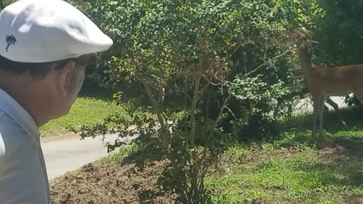 Country Club «West Fork Golf & Country Club», reviews and photos, 1 Golf Rdg, Conroe, TX 77304, USA