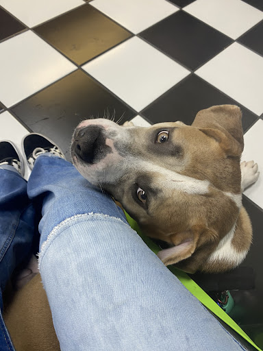 Explore sobriety tattoo ideas, creative tattoo ideas in Jupiter, available at Moth And Moon Tattoo