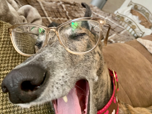 Pet Supply Store «PetSmart», reviews and photos, 220 Commerce Blvd, Fairless Hills, PA 19030, USA