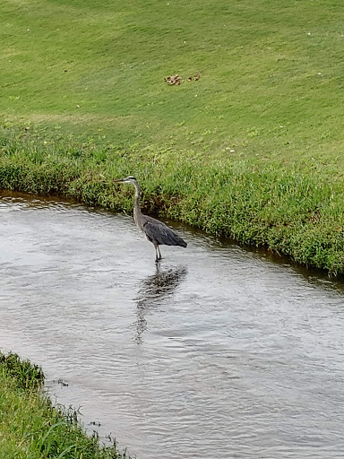 Country Club «Prestonwood Country Club», reviews and photos, 300 Prestonwood Pkwy, Cary, NC 27513, USA