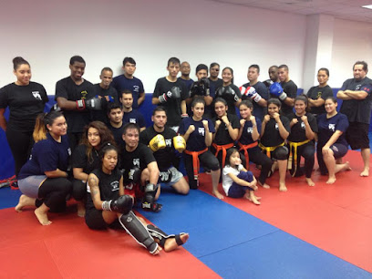 Mayo Kickboxing & MMA Academy
