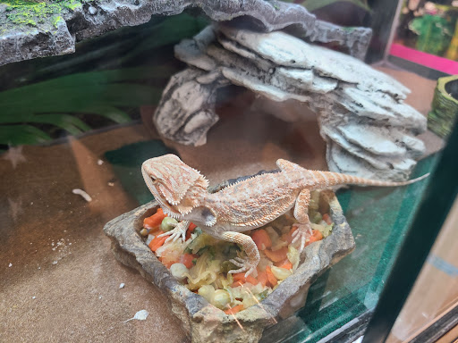 Pet Supply Store «PetSmart», reviews and photos, 5285 Wadsworth Bypass, Arvada, CO 80002, USA