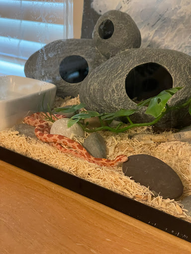 Pet Store «Animal Ark», reviews and photos, 175 S 500 E St, American Fork, UT 84003, USA