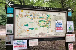 Kurondo Park, Forest of Osaka image