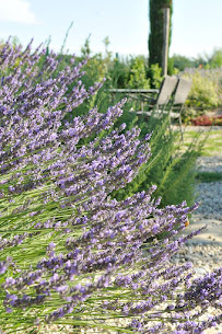 Photos du propriétaire du Restaurant Jardin Méditerranéen (piscine naturelle, grillades & salades) à Grignan - n°17