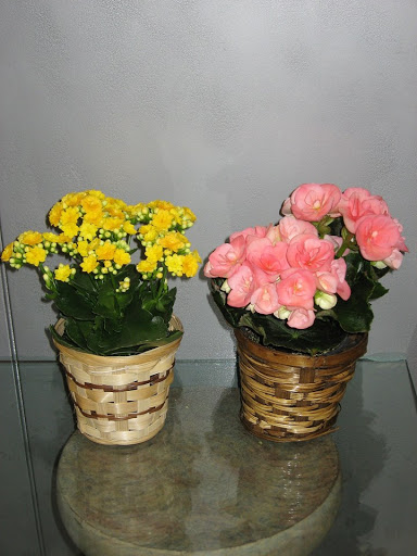 Florist «Best Wishes Floral», reviews and photos, 689 Winnetka Ave N, Golden Valley, MN 55427, USA