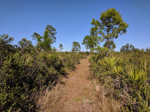 Nature Preserve «Scottsmoor Flatwoods Sanctuary East», reviews and photos, 6000 Magoon Ave, Mims, FL 32754, USA