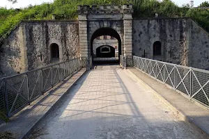 Fort de Feyzin image