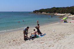Foto de Chevanu beach - lugar popular entre os apreciadores de relaxamento