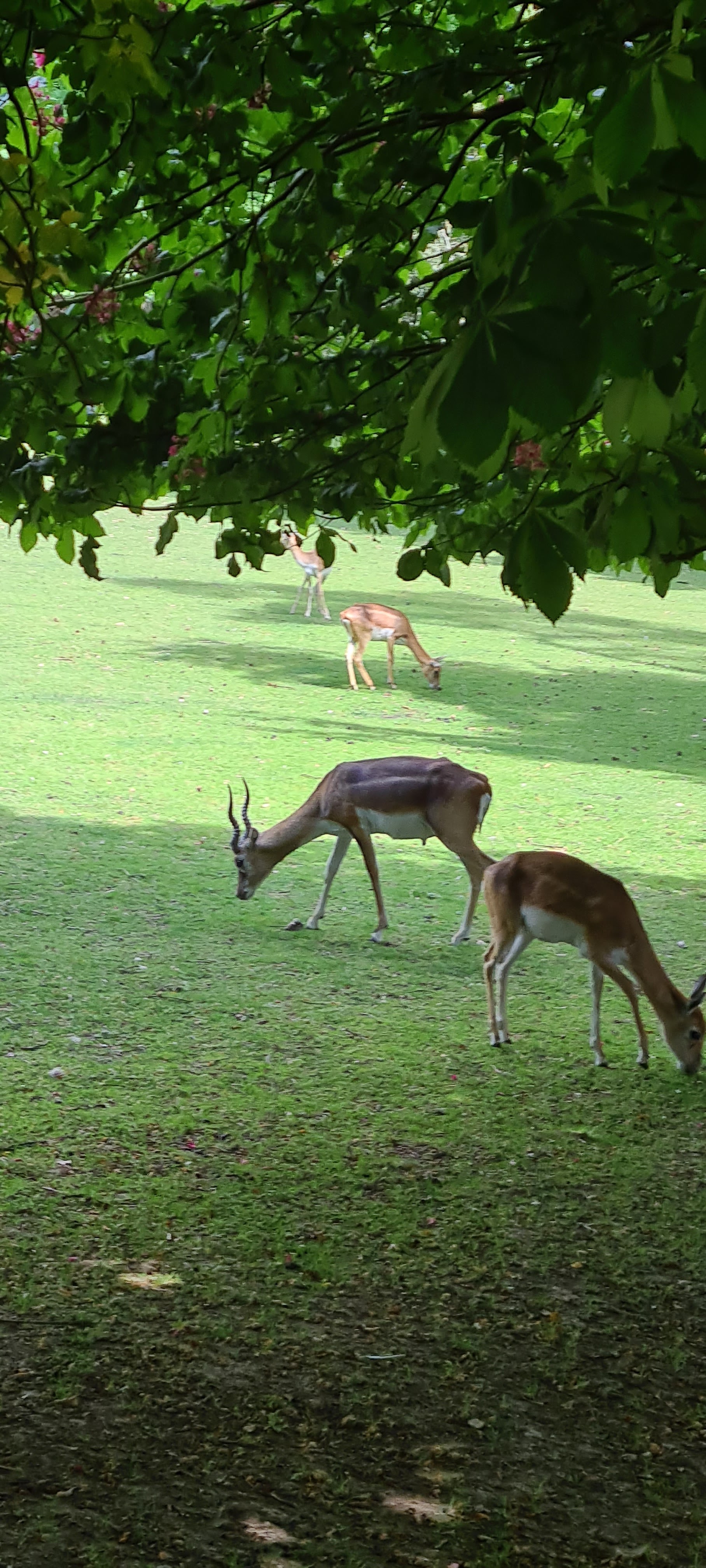 Photo n° 2 de l'avis de Raynald. fait le 15/05/2022 à 18:40
